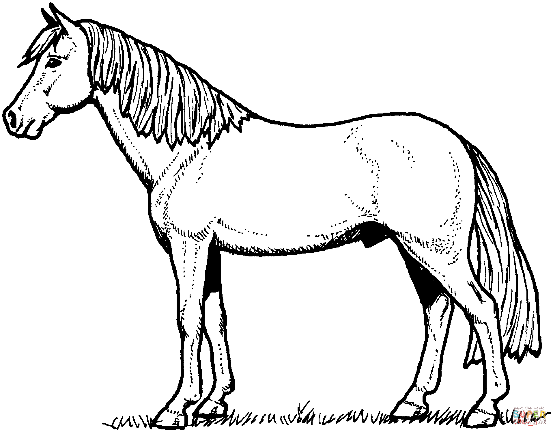 Incredible Domestic Animal Horse 20 Horse Coloring Pages Free Printables